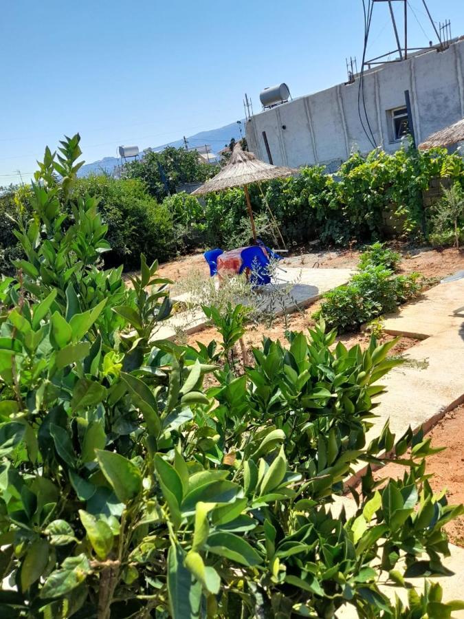 Rey Garden Villa فلورا المظهر الخارجي الصورة