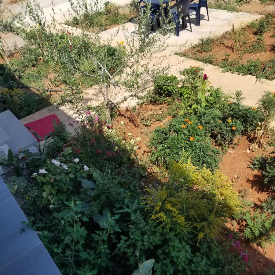 Rey Garden Villa فلورا المظهر الخارجي الصورة