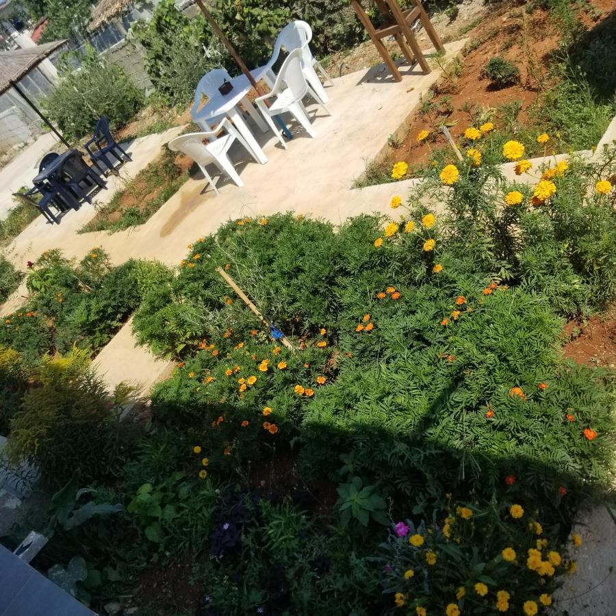 Rey Garden Villa فلورا المظهر الخارجي الصورة